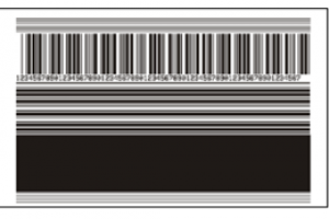 Cách kiểm tra đầu in máy in mã vạch Zebra 